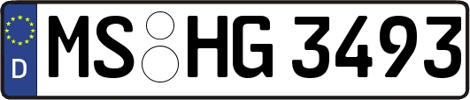 MS-HG3493