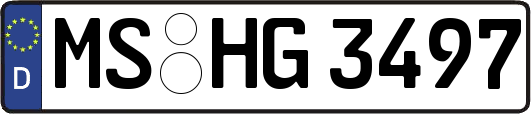MS-HG3497