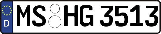 MS-HG3513