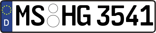 MS-HG3541