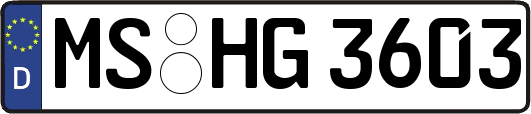 MS-HG3603