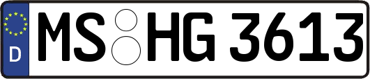 MS-HG3613