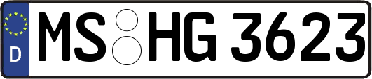 MS-HG3623