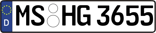 MS-HG3655