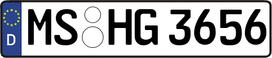 MS-HG3656