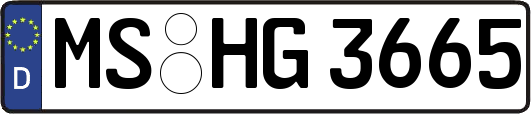 MS-HG3665