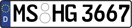 MS-HG3667