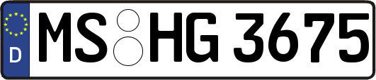 MS-HG3675