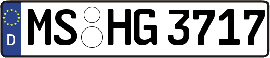 MS-HG3717