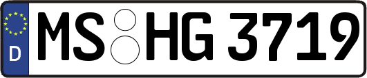 MS-HG3719