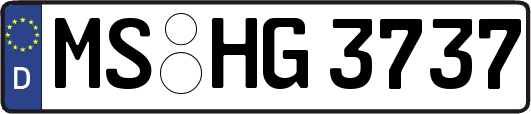 MS-HG3737
