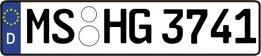 MS-HG3741