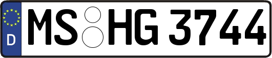MS-HG3744