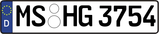 MS-HG3754