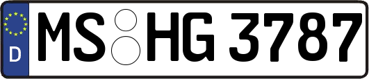 MS-HG3787
