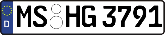 MS-HG3791