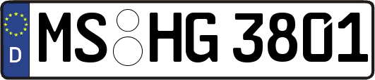 MS-HG3801
