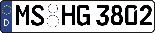 MS-HG3802