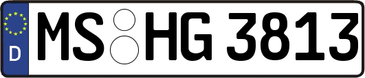 MS-HG3813