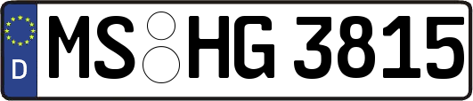 MS-HG3815