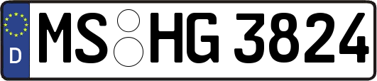 MS-HG3824