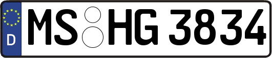 MS-HG3834