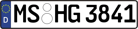MS-HG3841
