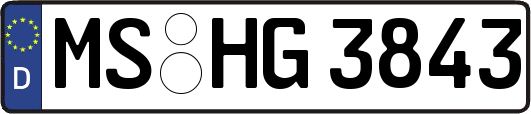 MS-HG3843