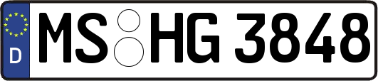 MS-HG3848