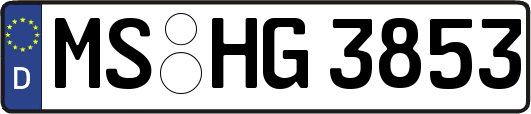 MS-HG3853