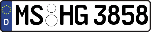 MS-HG3858