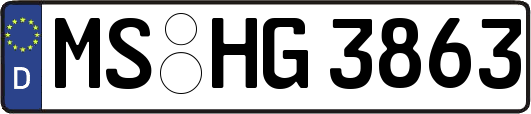 MS-HG3863