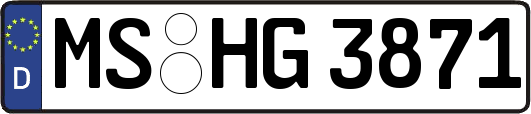 MS-HG3871