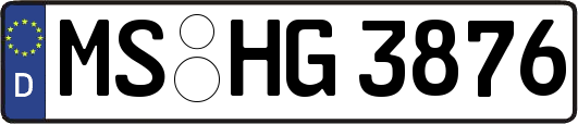 MS-HG3876