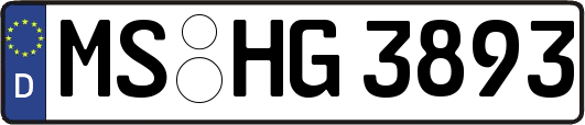 MS-HG3893