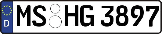 MS-HG3897