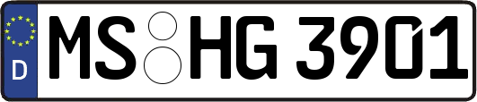 MS-HG3901