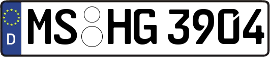 MS-HG3904