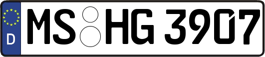 MS-HG3907