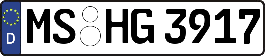 MS-HG3917