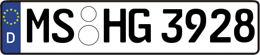 MS-HG3928