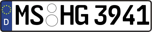 MS-HG3941