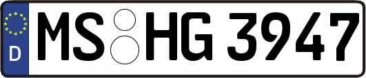 MS-HG3947