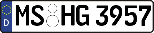 MS-HG3957