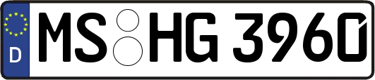 MS-HG3960
