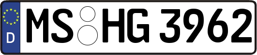 MS-HG3962
