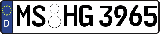 MS-HG3965