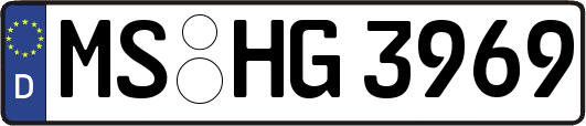MS-HG3969
