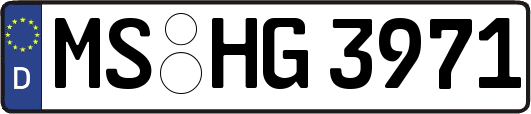 MS-HG3971