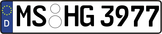 MS-HG3977
